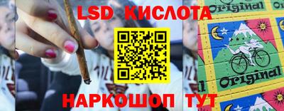 молекула духа Камышлов