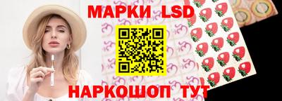 шишки Кандалакша