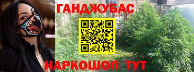 шишки Кандалакша