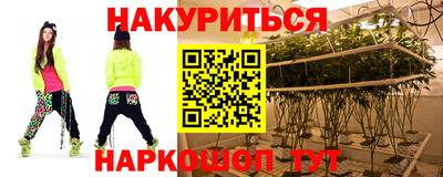 шишки Кандалакша