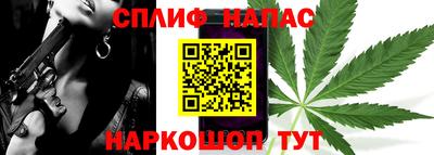 шишки Кандалакша