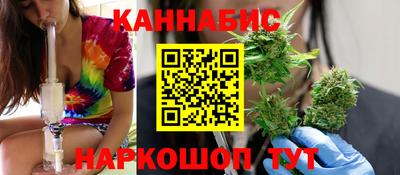 шишки Кандалакша