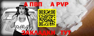 шишки Кандалакша