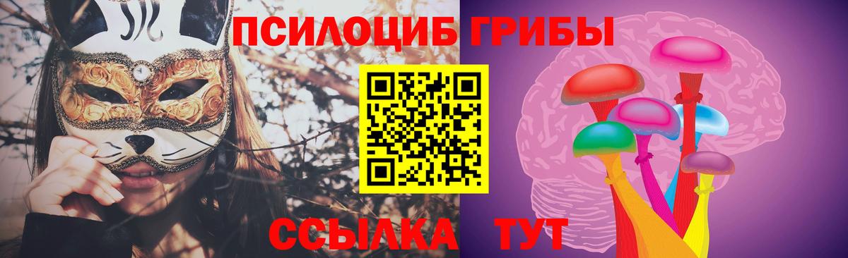 Псилоцибиновые грибы мицелий Биробиджан