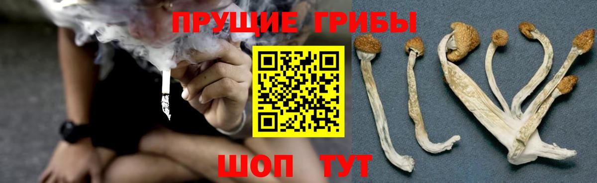 Галлюциногенные грибы Magic Shrooms  Вход с VPN  Псилоцибиновые грибы Psilocybe  как найти   Биробиджан 
